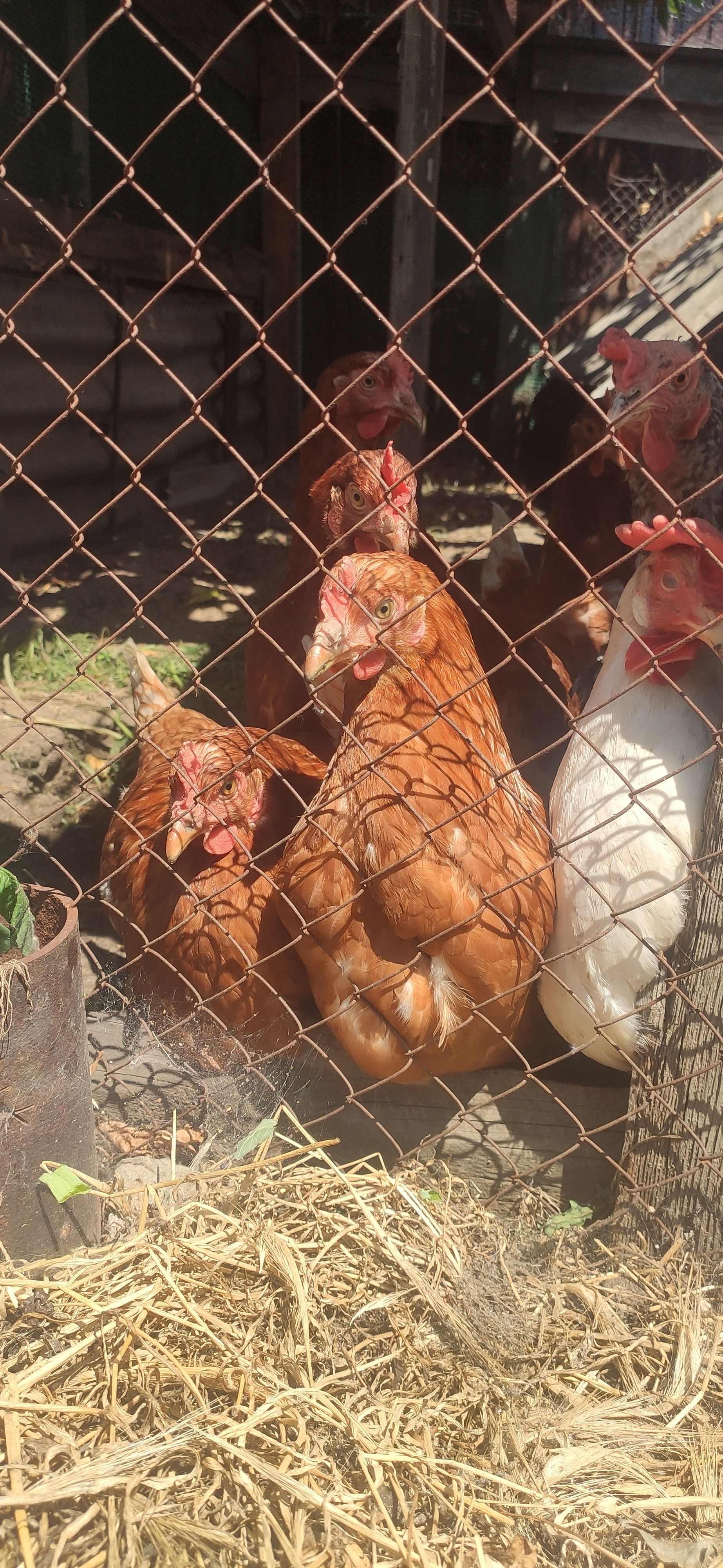 IMG 20230623 1136361