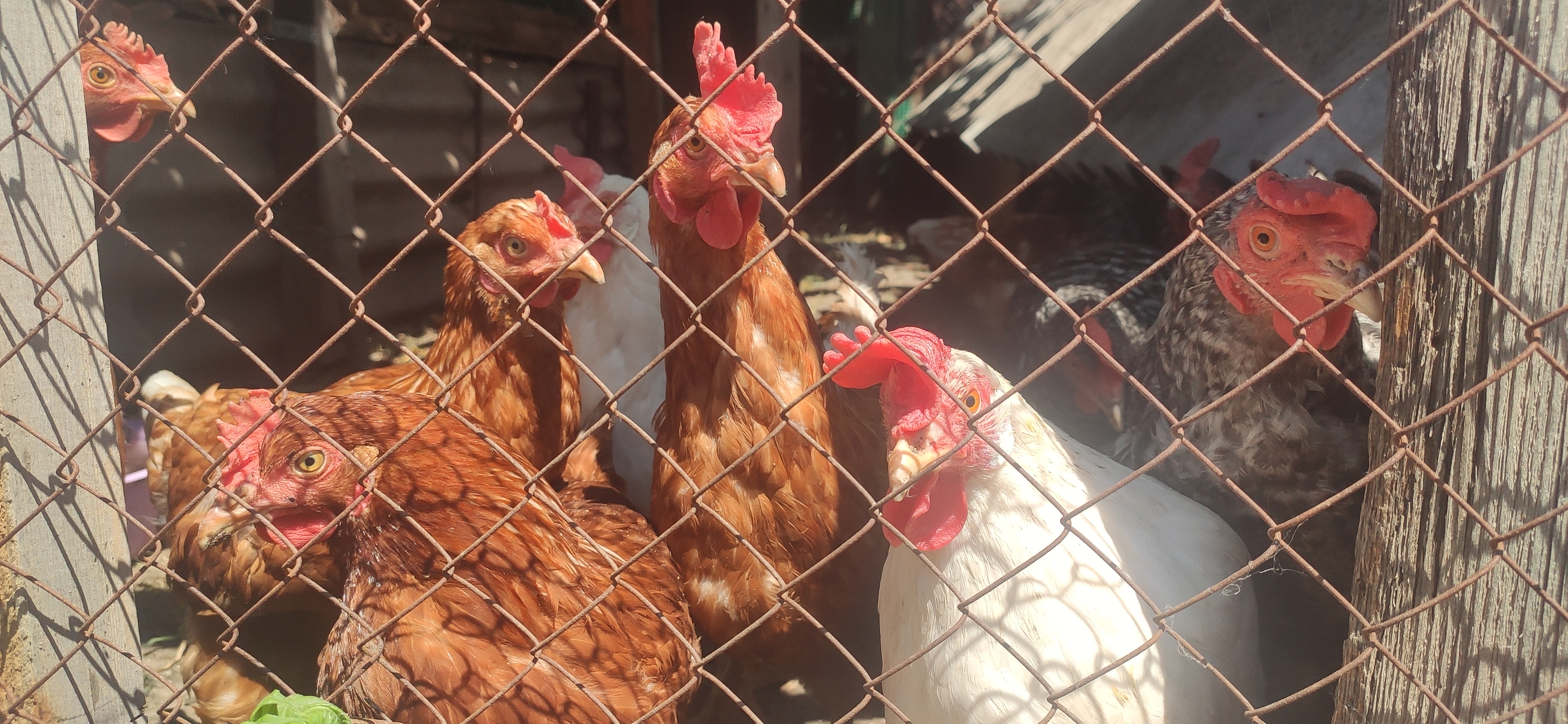 IMG 20230623 1136511