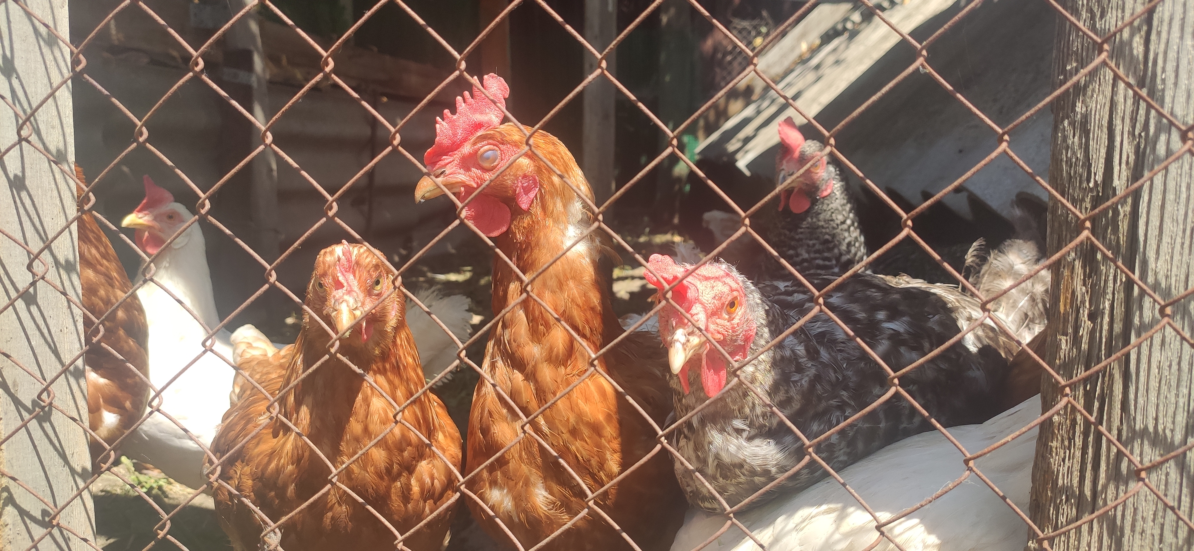 IMG 20230623 1136551