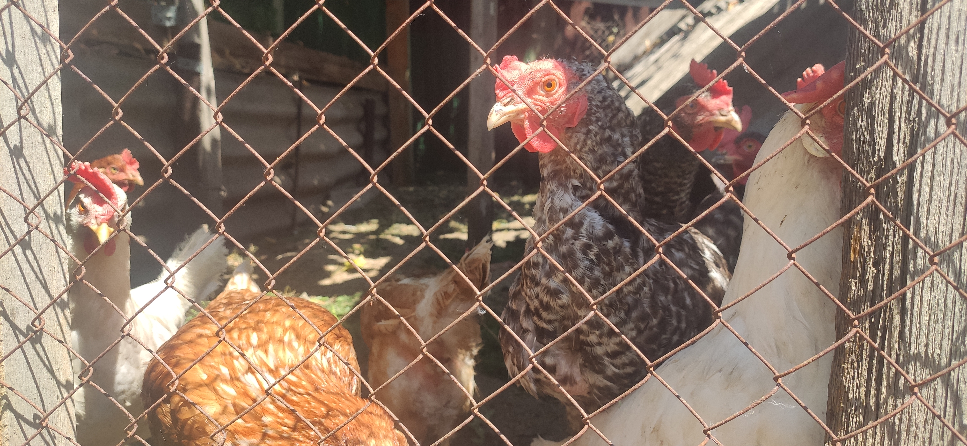 IMG 20230623 1136571