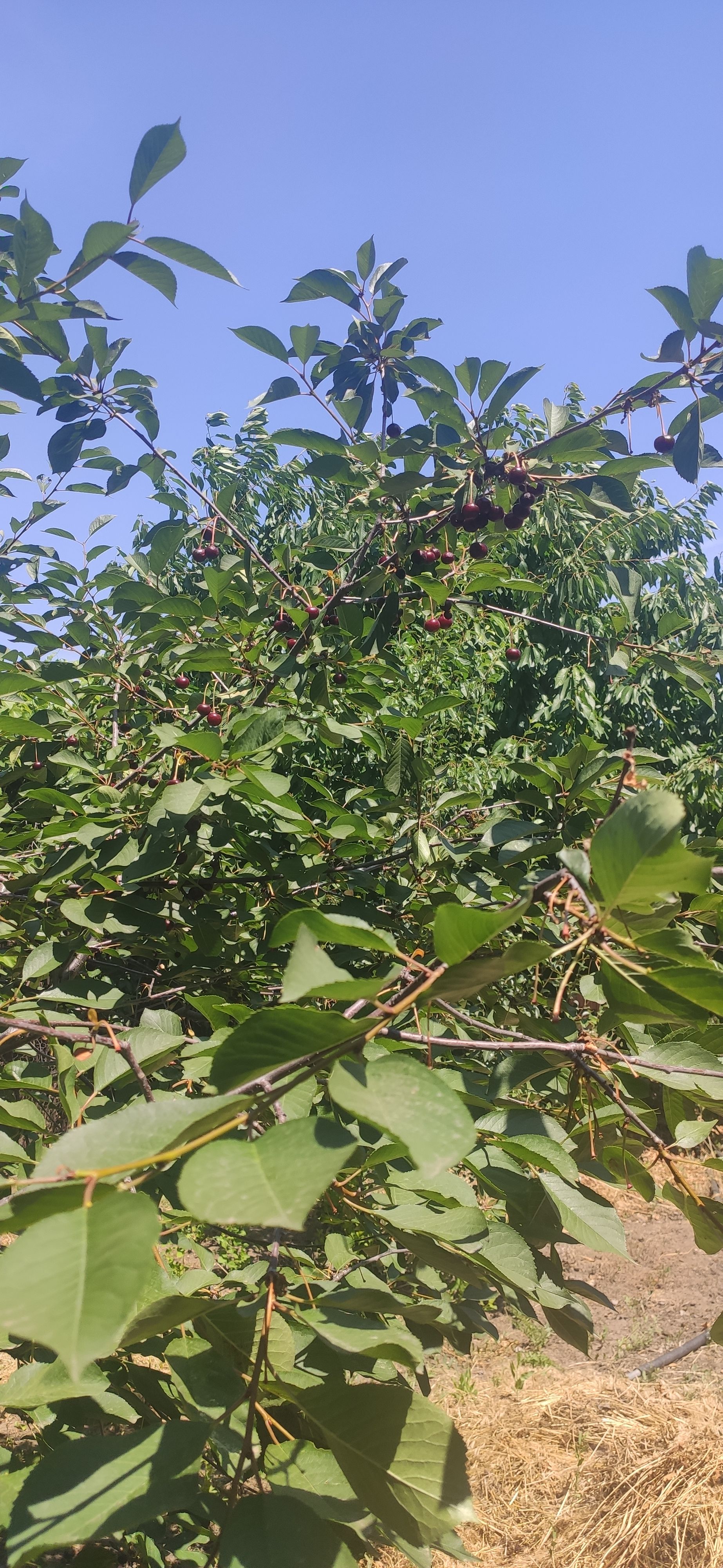 IMG 20230623 1137501