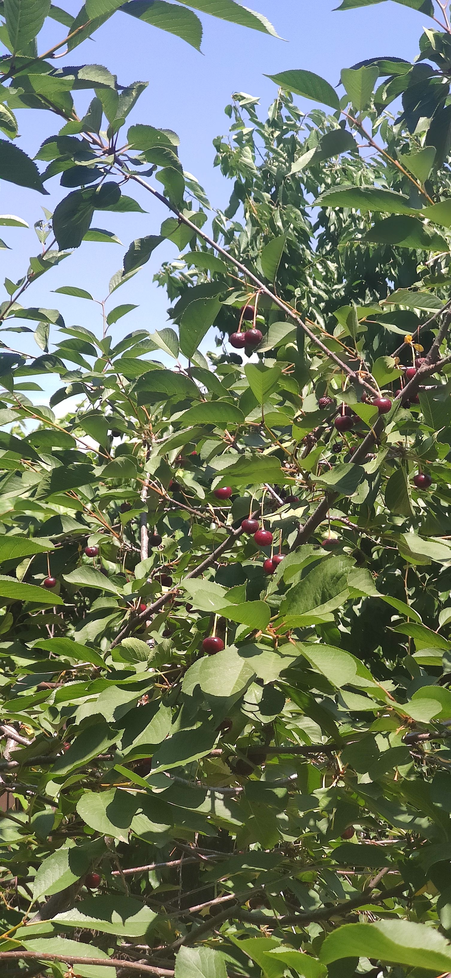 IMG 20230623 1138071