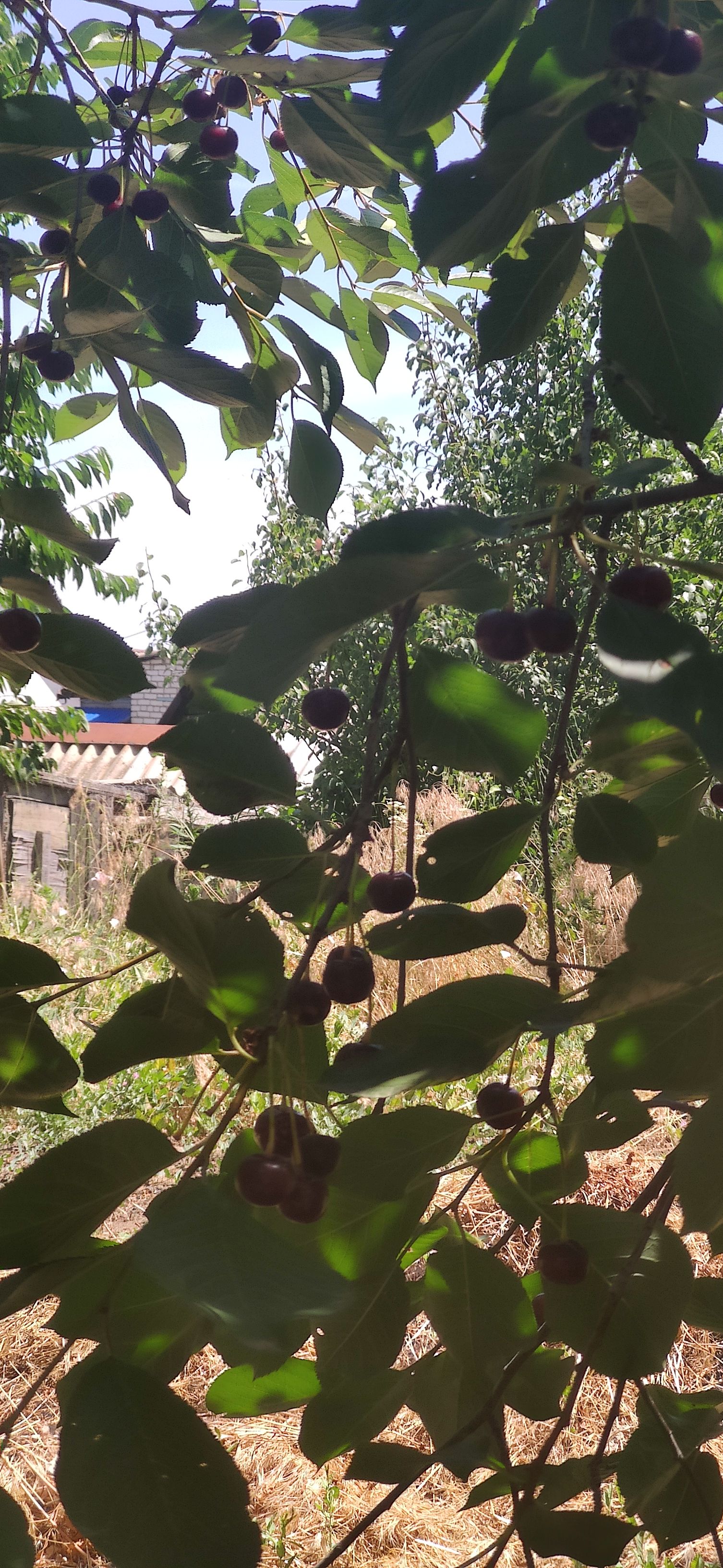 IMG 20230623 1143511