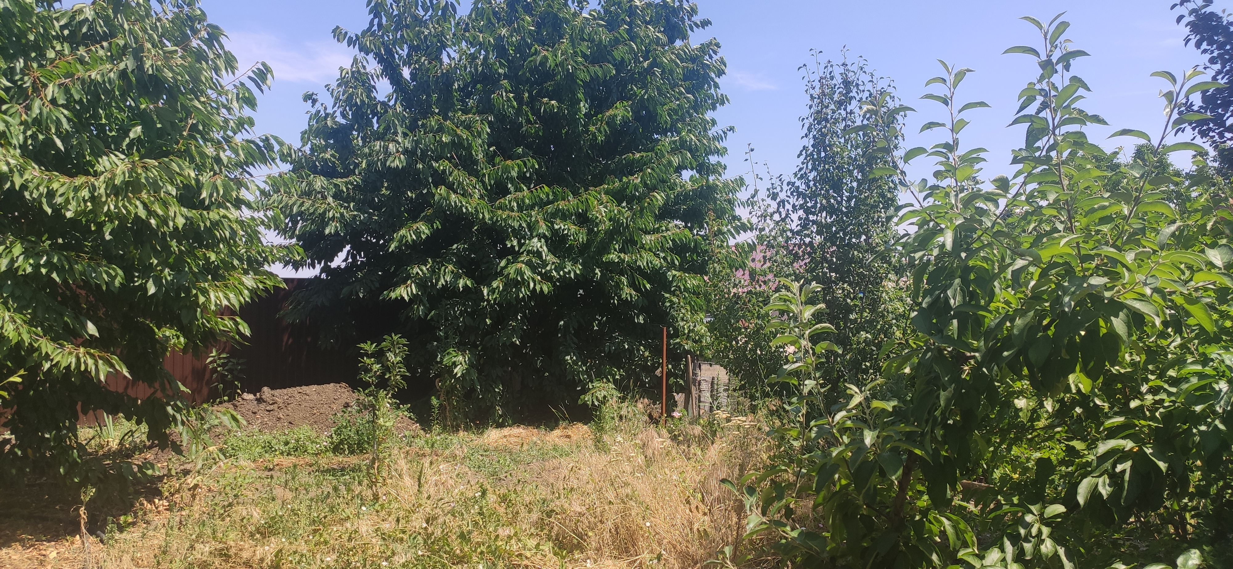 IMG 20230623 1153141