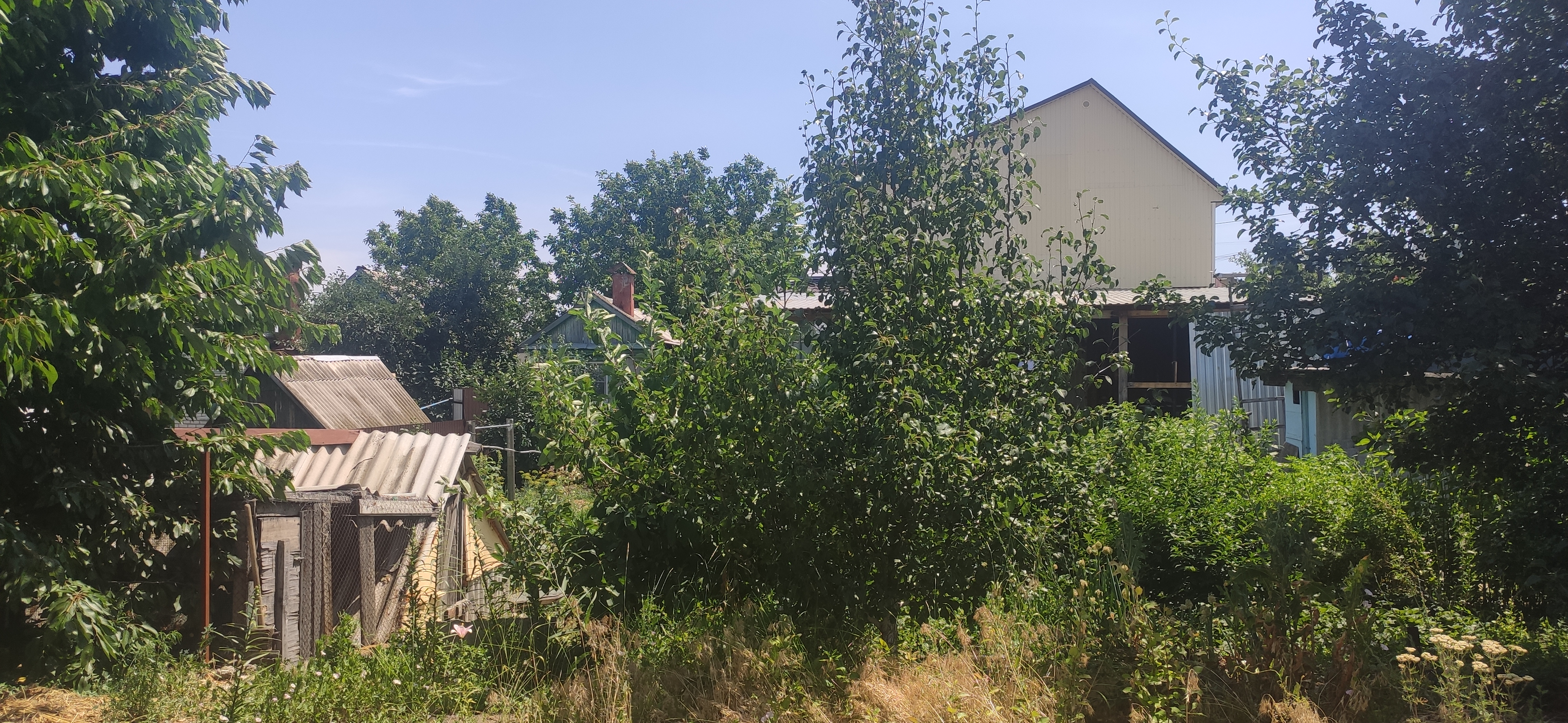 IMG 20230623 1153301