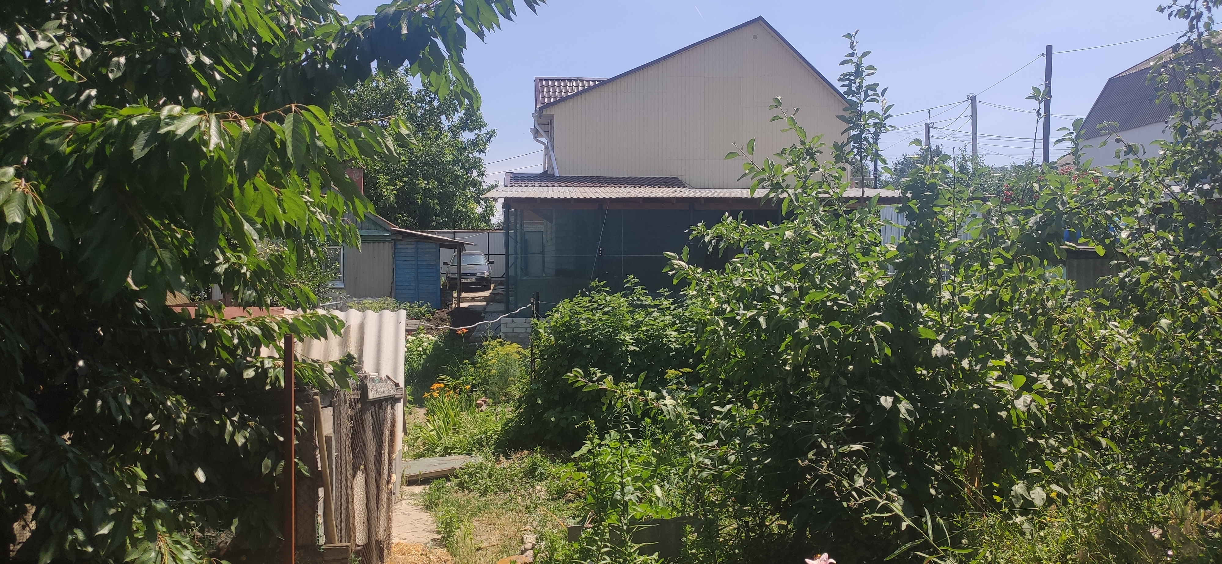 IMG 20230623 1153491