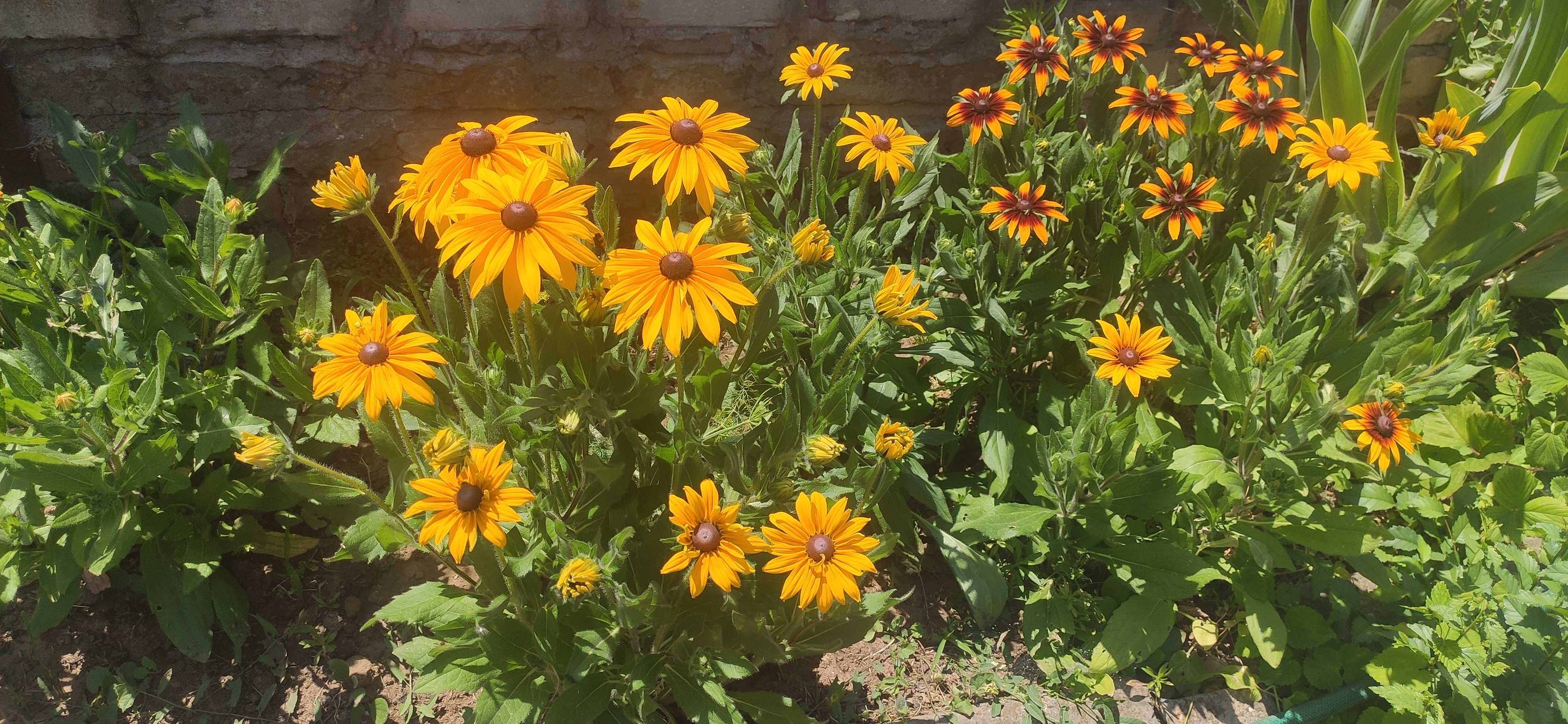 IMG 20230623 1156001