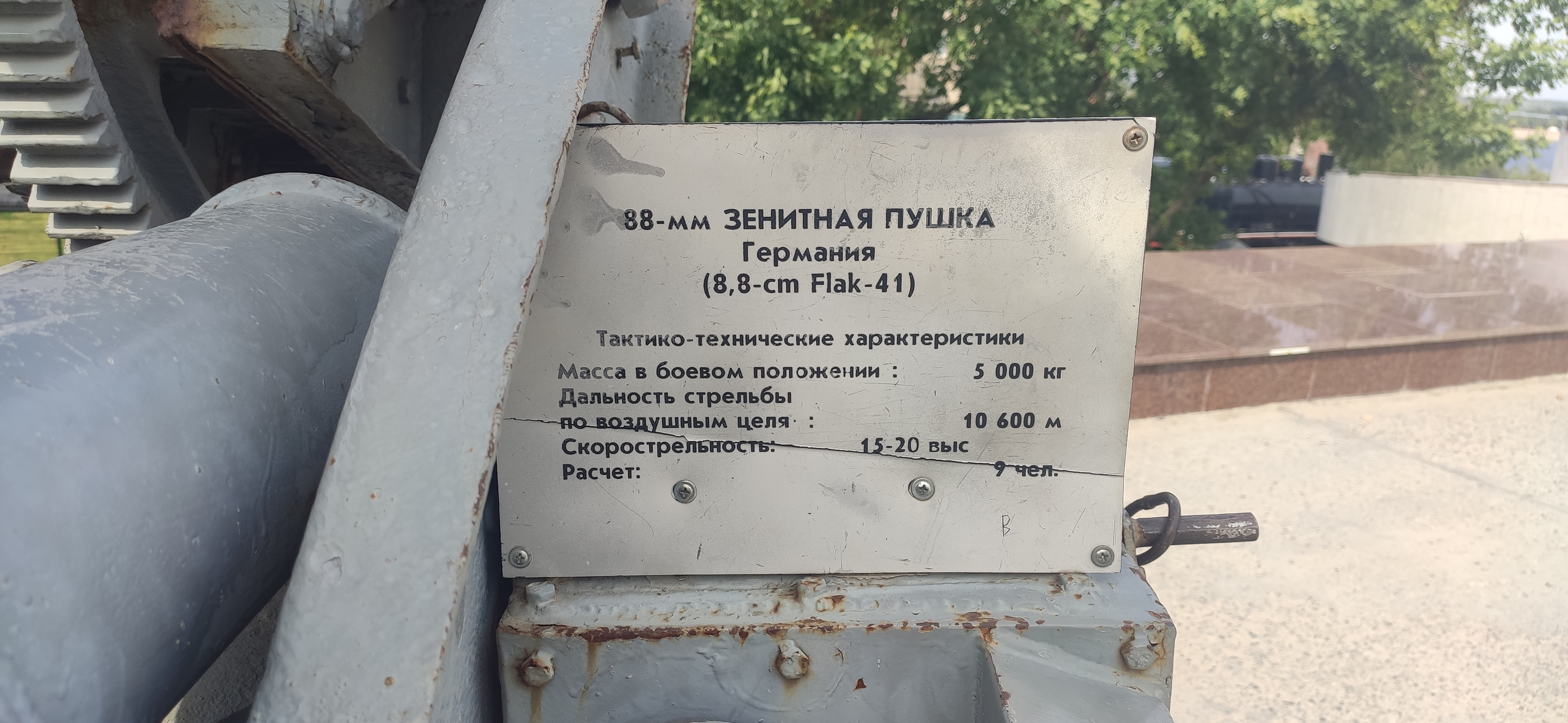 IMG 20230623 1548431