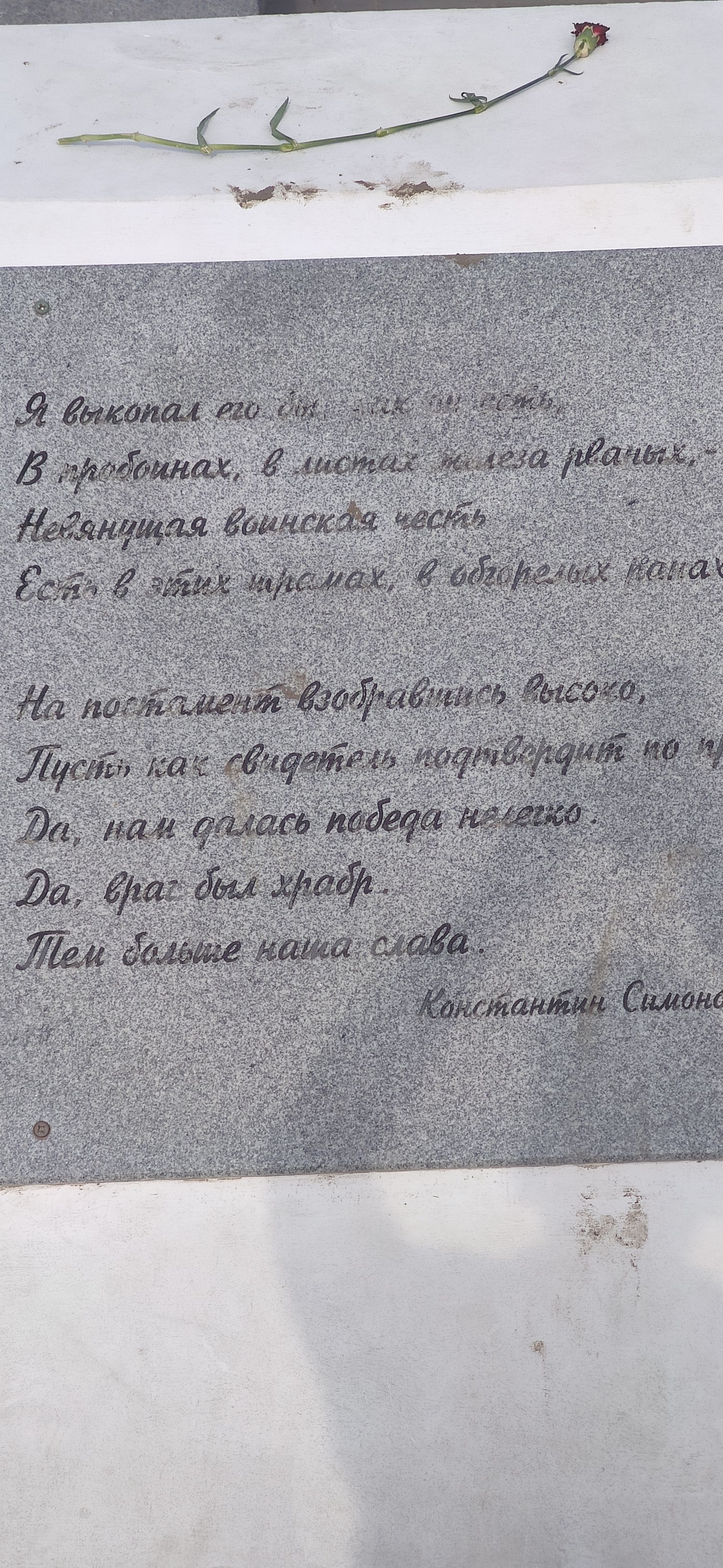 IMG 20230623 1559301