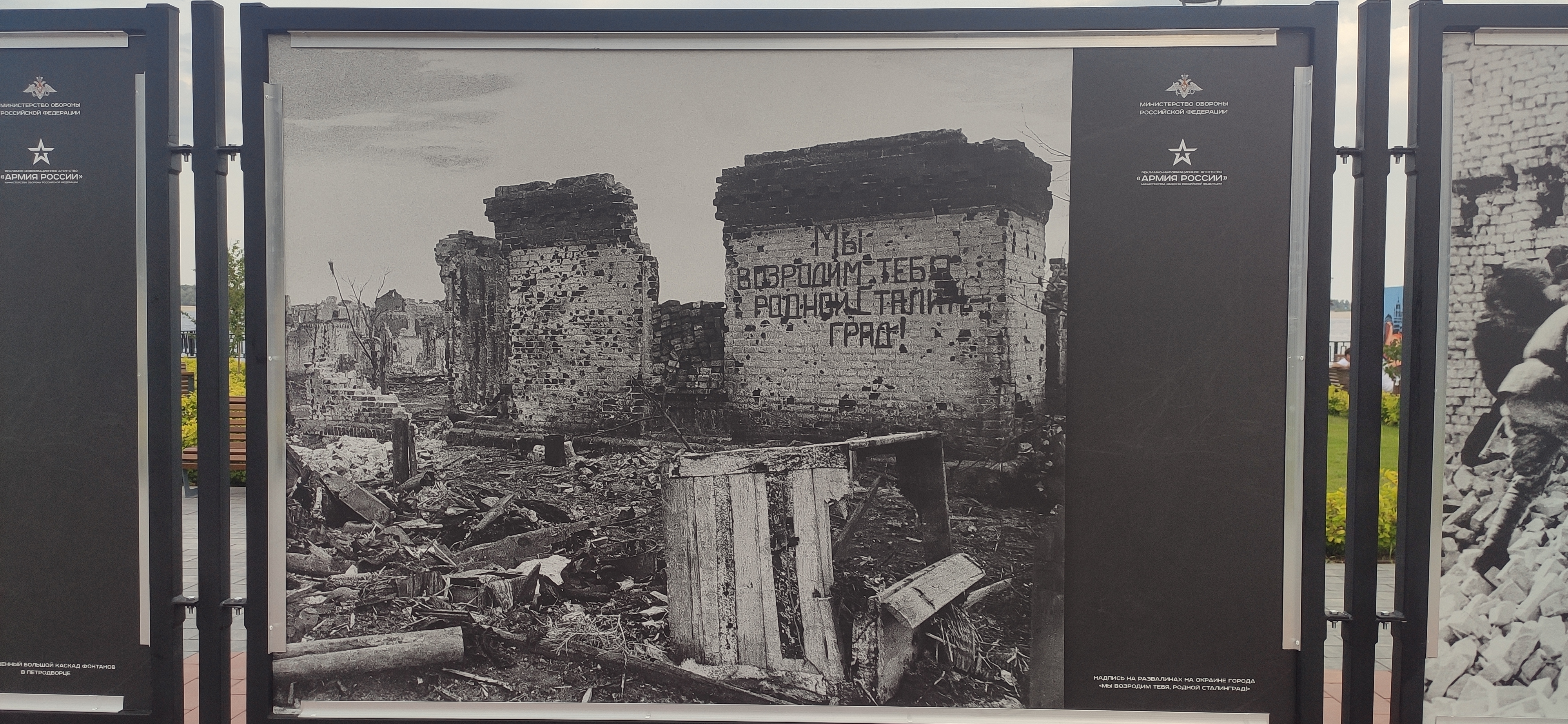 IMG 20230623 1806501