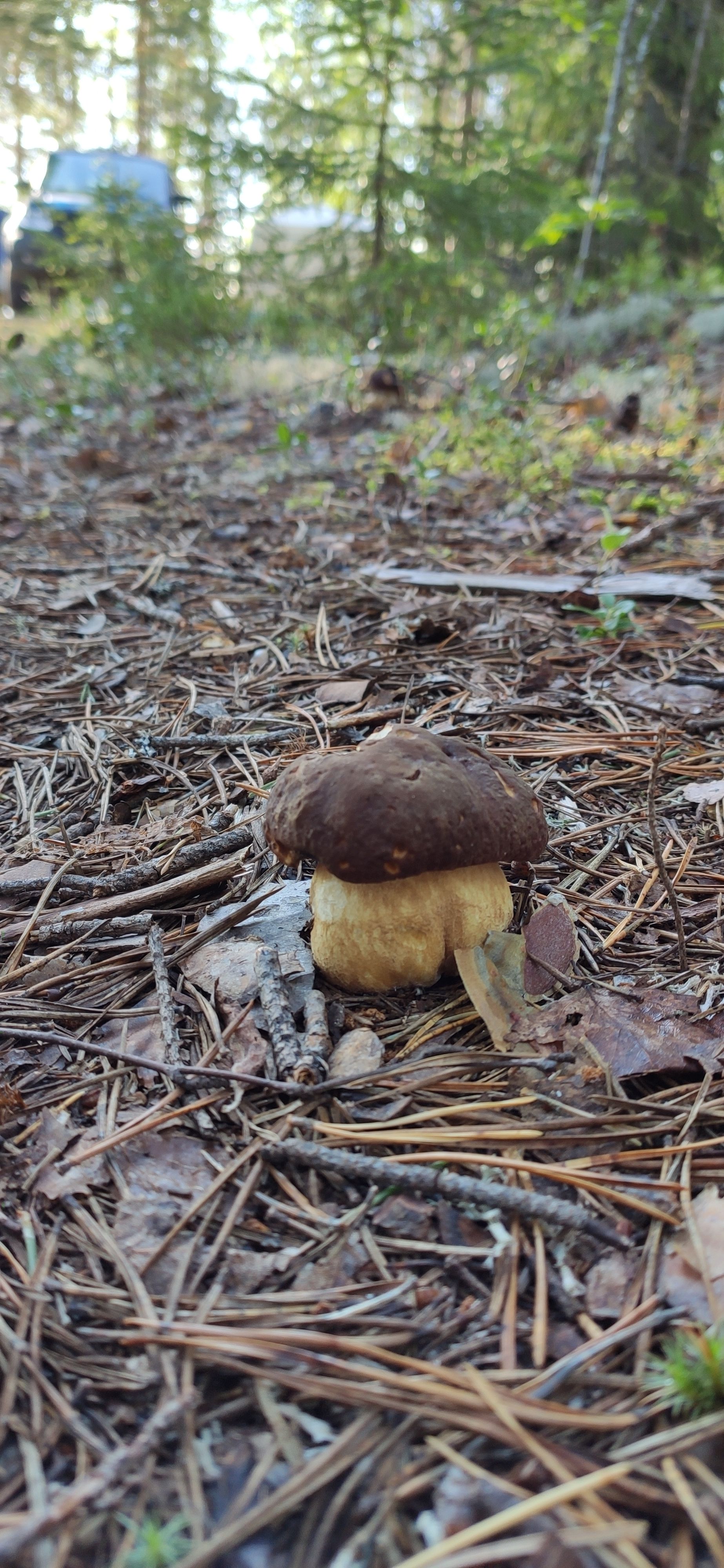 IMG 20200818 080525 1