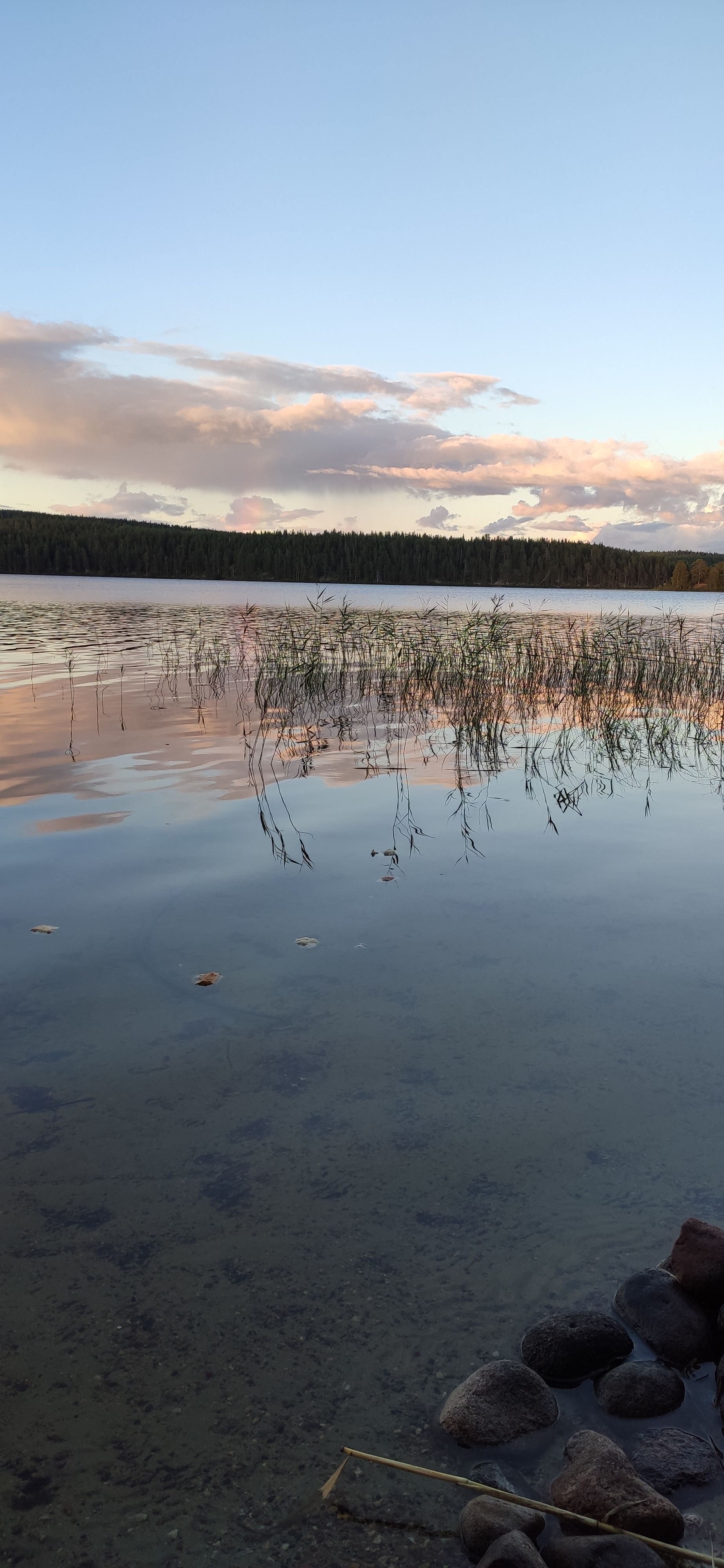 IMG 20200826 195015 1