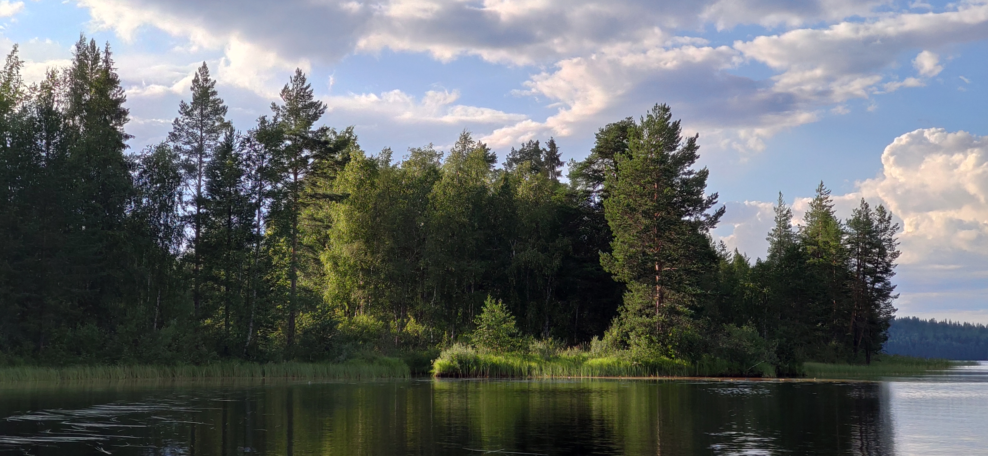 IMG 20220801 185026 1