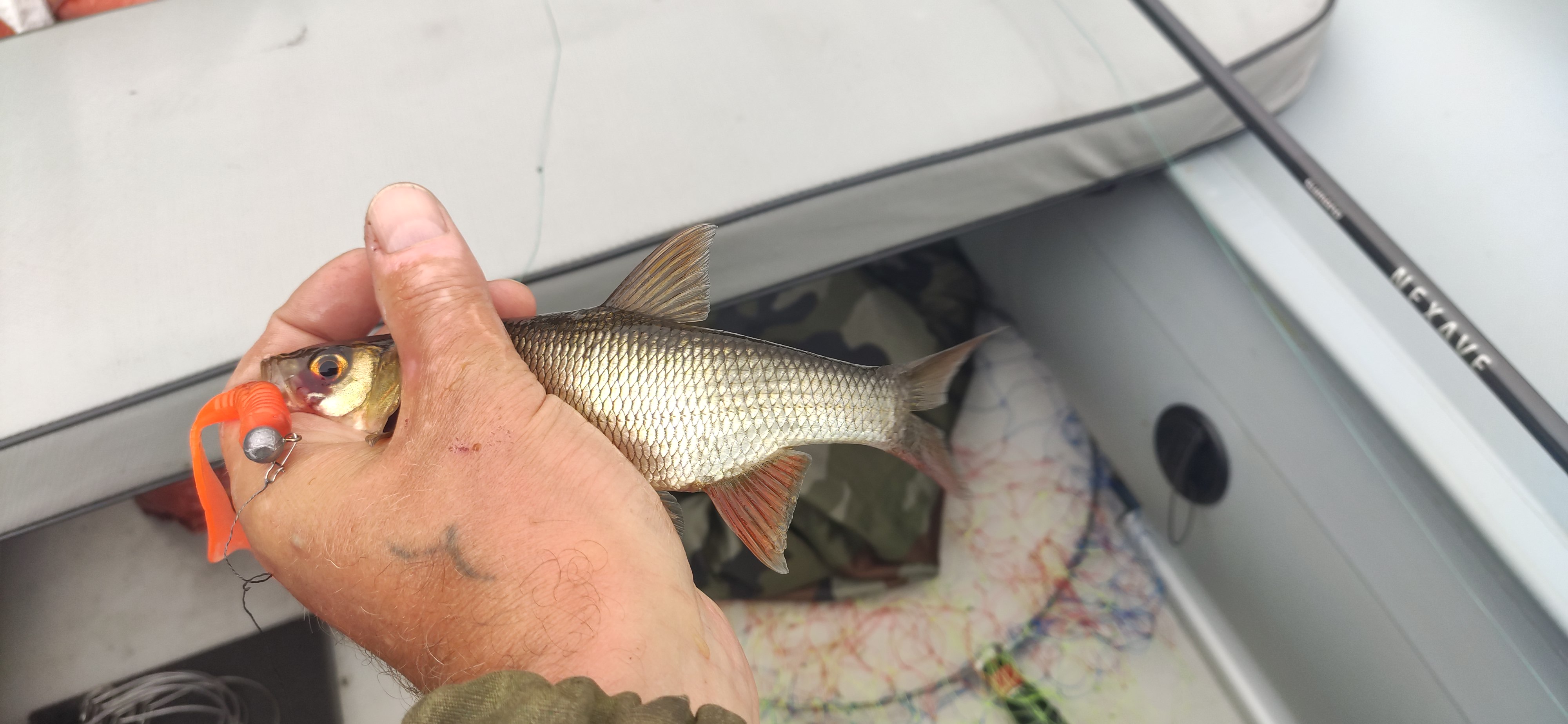 IMG 20220802 142448 BURST17